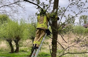 Freiwillige Feuerwehr Alpen: FW Alpen: Katze im Baum