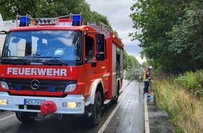 Feuerwehr Schermbeck: FW-Schermbeck: Strumschaden auf der Borkener Straße