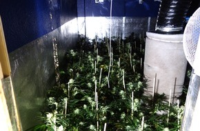Polizei Düren: POL-DN: Cannabis-Plantage in Jülich aufgeflogen