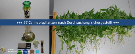 Polizeiinspektion Neubrandenburg: POL-NB: 57 Cannabispflanzen bei Durchsuchung aufgefunden und sichergestellt
