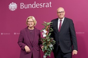 Einheitsbuddeln e.V.: Ein Apfelbaum auf Reisen