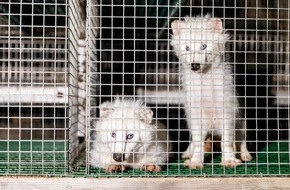 VIER PFOTEN - Stiftung für Tierschutz: Parlament in Lettland verbietet Pelztierzucht