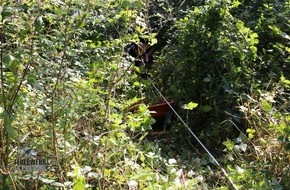 Feuerwehr Iserlohn: FW-MK: Rettungsaktion im Wald