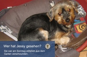 Polizeipräsidium Aalen: POL-AA: Ostalbkreis: Hund verschwunden, Flächenbrand und anderes