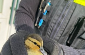 Polizeiinspektion Northeim: POL-NOM: Tierischer Einsatz