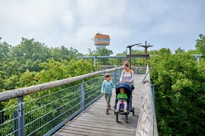 PM der TTG 34-2025 Zwischen Himmel und Hainich: Thüringens Baumkronenpfad feiert Jubiläum