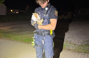 Polizeidirektion Pirmasens: POL-PDPS: Tierischer Einsatz am Wochenende
