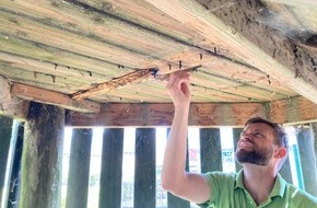 WADIKI: 7-J&auml;hriger will Spielplatz-Tester werden &ndash; und zeigt, warum Kontrollen so wichtig sind