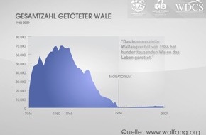 Whale & Dolphin Conservation gGmbH: Offizielle Walfangzahlen belegen: Walfangverbot rettete Hunderttausenden Walen das Leben (mit Bild)