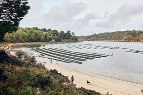 Zu Fuß durch die Bretagne: Fünf Wanderrouten durch die wilde Schönheit bretonischer Landschaften