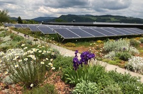Gebäudehülle Schweiz / Enveloppe des édifices Suisse: Solarenergieanlagen und Dachbegrünung – Doppelt nachhaltig