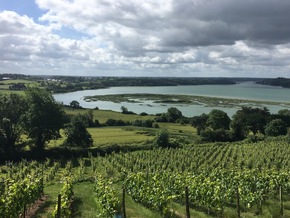Die Bretagne, die Newcomerin unter den Weindestinationen