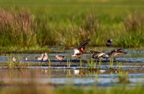 Global Nature Fund: Herzliche Einladung: Dümmer feiert Titel "Lebendiger See des Jahres 2022"