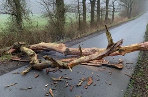 Freiwillige Feuerwehr Gemeinde Schiffdorf: FFW Schiffdorf: Umgestürzter Baum blockiert Straße - Feuerwehr sorgt für freie Fahrt