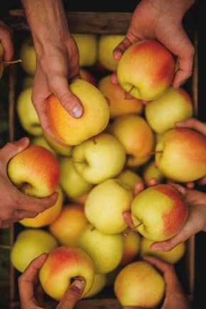 Im Herbst feiert das Trentino den Genuss