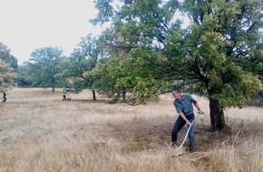 Bergwaldprojekt e.V.: Extensive Landwirtschaft ist Garant für Artenvielfalt und muss für Artenschutz ausgeweitet werden / Bergwaldprojekt-Freiwillige unterstützen Pflege von Offenland-Biotopen im Knüll