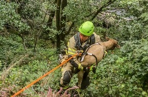 Feuerwehr Ennepetal: FW-EN: Komplexe Tierrettung