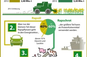 OVID Verband der ölsaatenverarbeitenden Industrie in Deutschland e. V.: Welternährungstag: Teller - Tank: Ohne Bioenergie hätten wir nicht mehr, sondern weniger auf dem Teller (BILD)