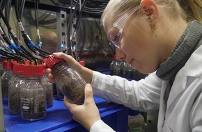 Universität Konstanz: Wie schnell werden Kunststoffe in der Umwelt abgebaut?, PI Nr.128/2024