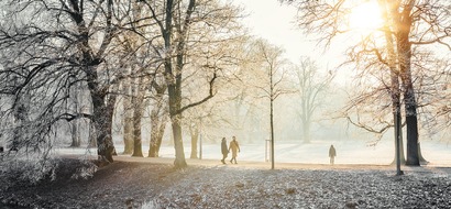 Discover Leipzig Region’s Top 5 Winter Hiking Trails