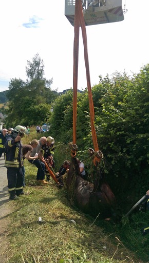 FW-OE: Pferdekutsche verunglückt - erfolgreiche Rettung eines Pferdes in Elspe