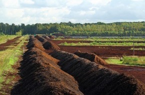 Bund für Umwelt und Naturschutz Deutschland e.V. (BUND): ++ BUND-Einkaufsführer Torffrei gärtnern – Moore und Klima schützen  ++