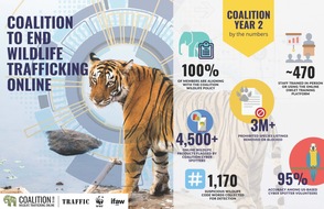IFAW Deutschland: Erfolg im Kampf gegen den illegalen Wildtierhandel im Internet
