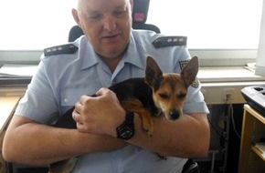 Bundespolizeiinspektion Flensburg: BPOL-FL: Herrenloser Hund am Bahnhof