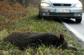 Polizeipräsidium Westpfalz: POL-PPWP: Achtung, Wildwechsel!