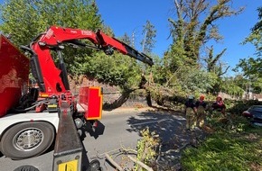 Feuerwehr Dresden: FW Dresden: Informationen zum Einsatzgeschehen von Feuerwehr und Rettungsdienst in der Landeshauptstadt Dresden vom 11. August 2026