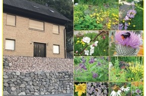 Deutscher Imkerbund e. V.: Was tun? Was tun! / Bienen brauchen blühende Gärten statt Schotterwüsten
