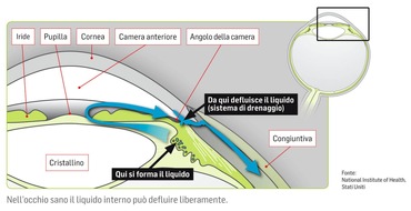 Gruppo glaucoma della Società svizzera di oftalmologia (SSO): Esami gratuiti degli occhi a marzo in tutta la Svizzera: Una campagna di prevenzione degli oftalmologi svizzeri