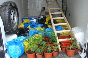 Polizeipräsidium Frankfurt am Main: POL-F: 080325 - 0362 Frankfurt-Nied: Festnahmen nach Diebstahl einer Marihuanaplantage