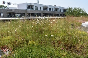 Verbraucherzentrale Nordrhein-Westfalen e.V.: Wie sich mit einem Profidach gezielt Wasser speichern lässt