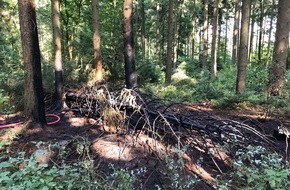 Feuerwehr Detmold: FW-DT: Feuer im Wald