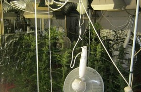 Polizeidirektion Bad Segeberg: POL-SE: Wahlstedt - Ermittlungsgruppe BtM konnte erneut eine Cannabisplantage aufdecken