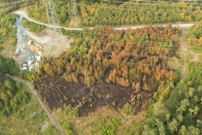 FW-MK: 10.000 Quadratmeter Waldbrand fordert hunderte Einsatzkräfte über fast 48 Stunden