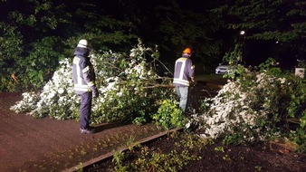 Feuerwehr der Stadt Arnsberg: FW-AR: Feuerwehr Arnsberg muss kleine Unwetterschäden beseitigen