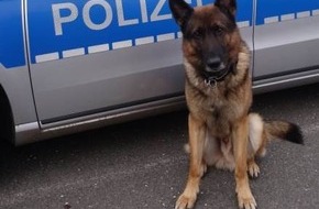 Polizei Hamburg: POL-HH: 211209-1. Schwerpunkteinsatz der "Task Force" zur Bekämpfung der öffentlich wahrnehmbaren Drogenkriminalität