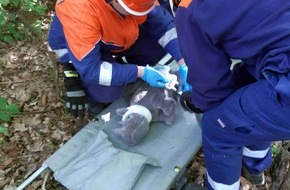 Feuerwehr Flotwedel: FW Flotwedel: Jugendfeuerwehr-Wochenende 2025 der Jugendfeuerwehr Eicklingen