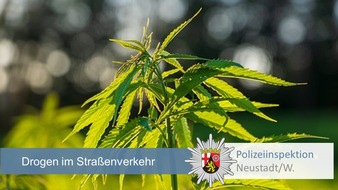 Polizeidirektion Neustadt/Weinstraße: POL-PDNW: Neustadt/Wstr.: Fahrt unter dem Einfluss von Drogen - Marihuana sichergestellt