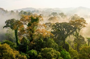 ZDF: "Terra X – Unser grüner Planet": Neue ZDF/BBC-Dokureihe über die Wunderwelt der Pflanzen