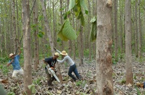 ShareWood Switzerland AG: Auszahlung 2012: Die ShareWood Switzerland AG zahlt zum vierten Mal Holzerlöse an Baumeigentümer aus (BILD)