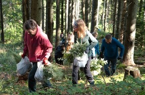 Bergwaldprojekt e.V.: Große Pflanz-Aktion mit dem Bergwaldprojekt e.V. und 70 Freiwilligen in Bayrischzell am 15.10.