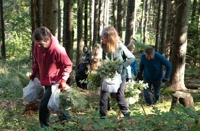 Bergwaldprojekt e.V.: Große Pflanz-Aktion mit dem Bergwaldprojekt e.V. und 70 Freiwilligen in Bayrischzell am 15.10.