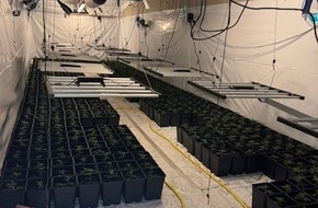 Polizeiinspektion Göttingen: POL-GÖ: (135/2025) Zwei weitere Indoor-Plantagen im Altkreis Osterode entdeckt - Über 2.000 Pflanzen und umfangreiche Anbautechnik beschlagnahmt, 56-Jähriger festgenommen, Ermittlungskommission eingerichtet