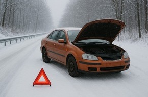 Oehler Web: Pannendienst & Assistance (TCS, ACS & Co.): Warum wenige Winterpannen und gute Historie Vertrauen schaffen