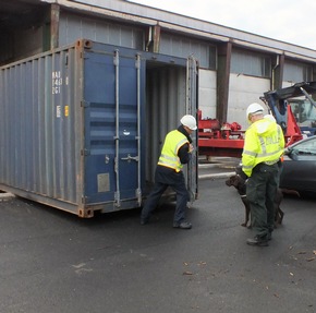 ZOLL-F: Zoll und Polizei kontrollieren Container-Schiff im Hafen Industriepark Höchst