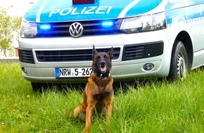 Polizei Hagen: POL-HA: Frau macht Schlagbewegungen in Richtung eines Diensthundes