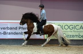 Messe Berlin GmbH: Hollywood setzt auf American Saddlebred Horses - Berlins Pferdesportevent HIPPOLOGICA stellt die Pferderasse vor